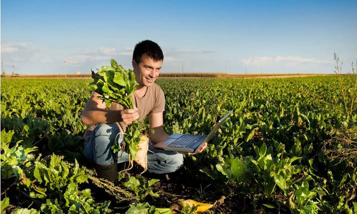 Benefits of local farm 